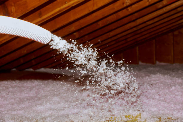 Best Insulation Removal  in Emah, OK