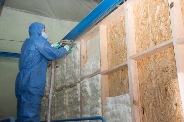 Best Attic Insulation Installation  in Emah, OK